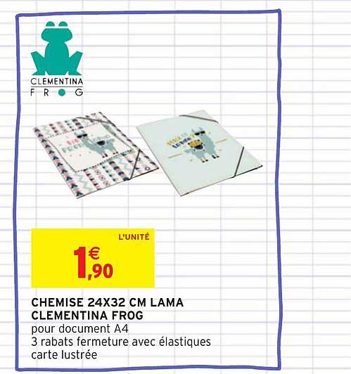 chemise 24x32 cm lama clementina frog