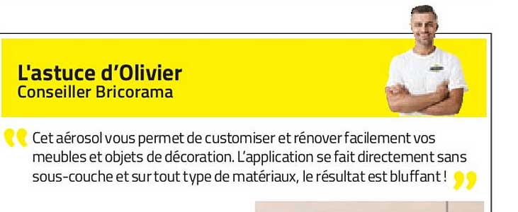 l'astuce d'olivier : conseiller bricorama