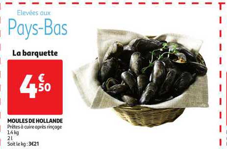 moules de holland