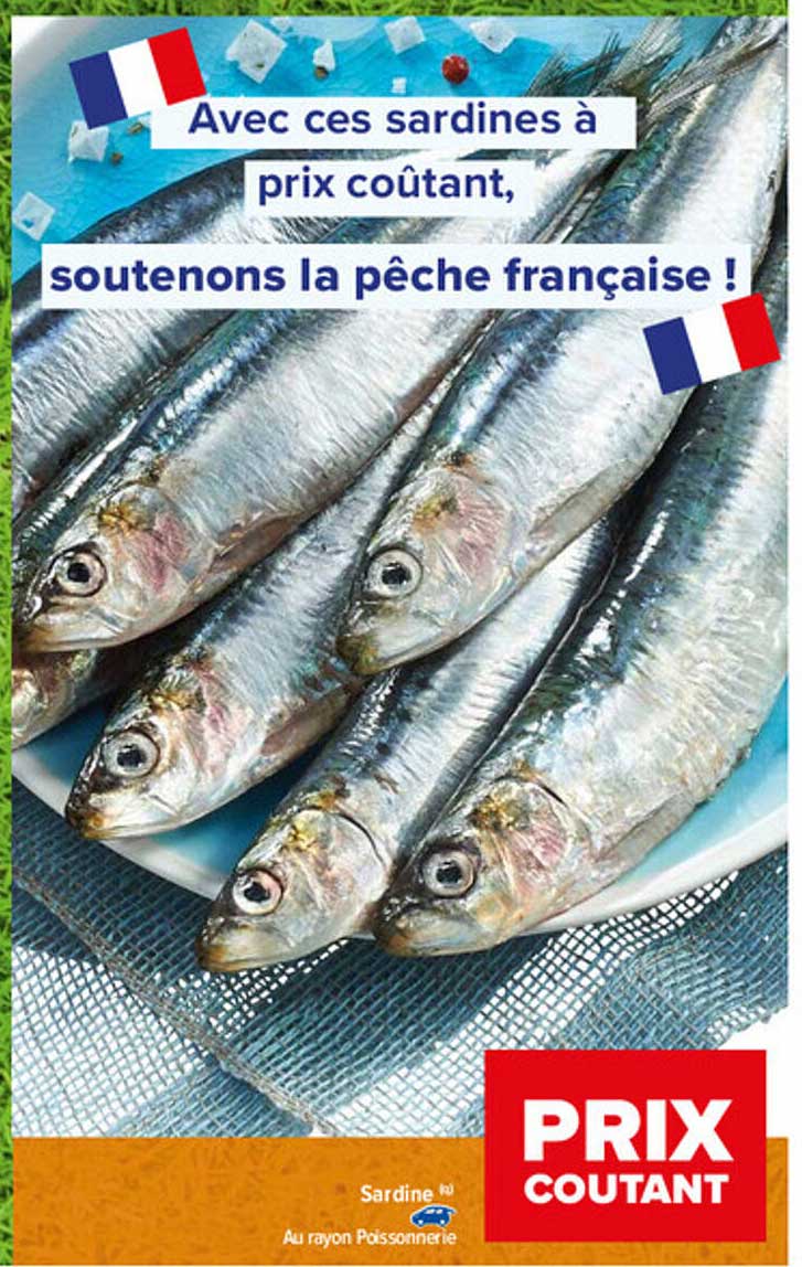 Sardine
