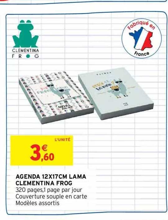 agenda 12 x 17 cm lama clementina frog