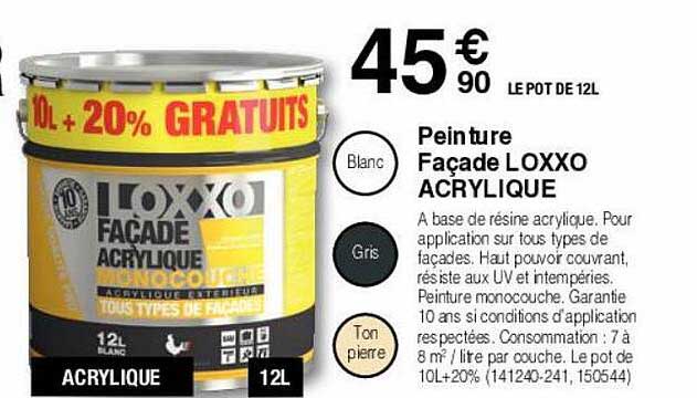 peintre façade loxxo acrylique