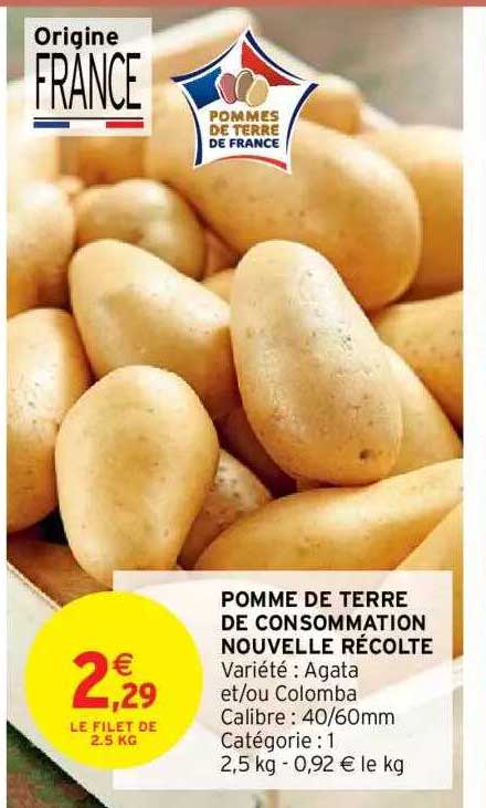 pomme de terre de consommation nouvelle récolte