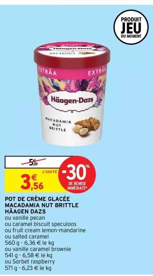 pot de crème glacée macadamia nut brittle häagen dazs