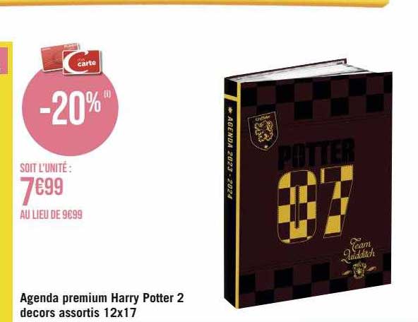 agenda premium harry potter 2 décors assortis 12 x 17