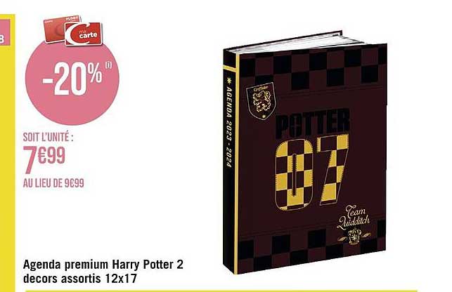 agenda premium harry potter 2 décors assortis 12 x 17