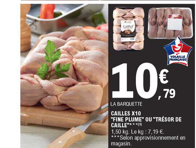 cailles x10 "fine plume" ou "trésor de caille"