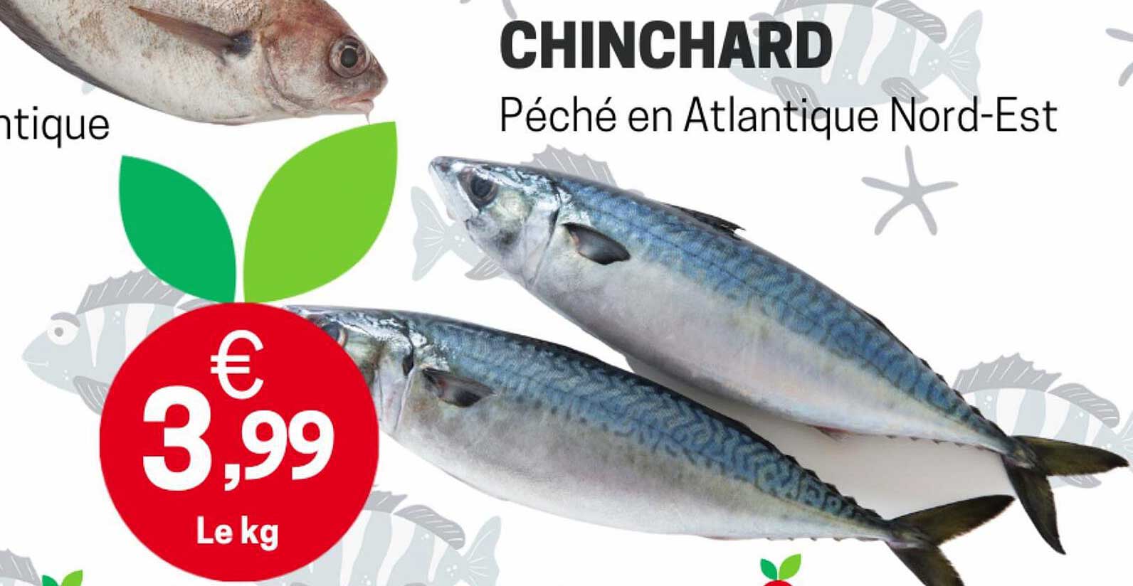 chinchard péché en atlantique nord-est