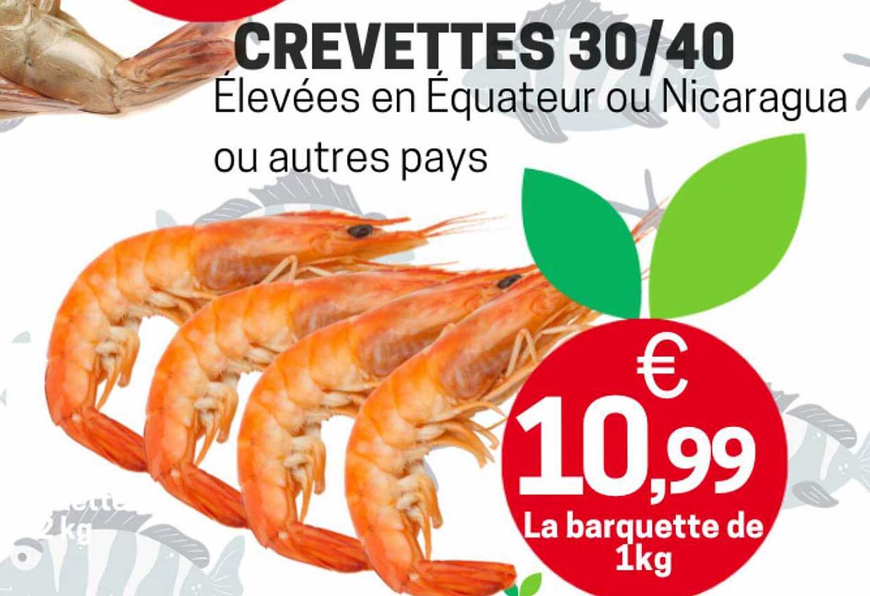 Crevettes 30-40 élevées En équateur Ou Nicaragua Ou Autres Pays