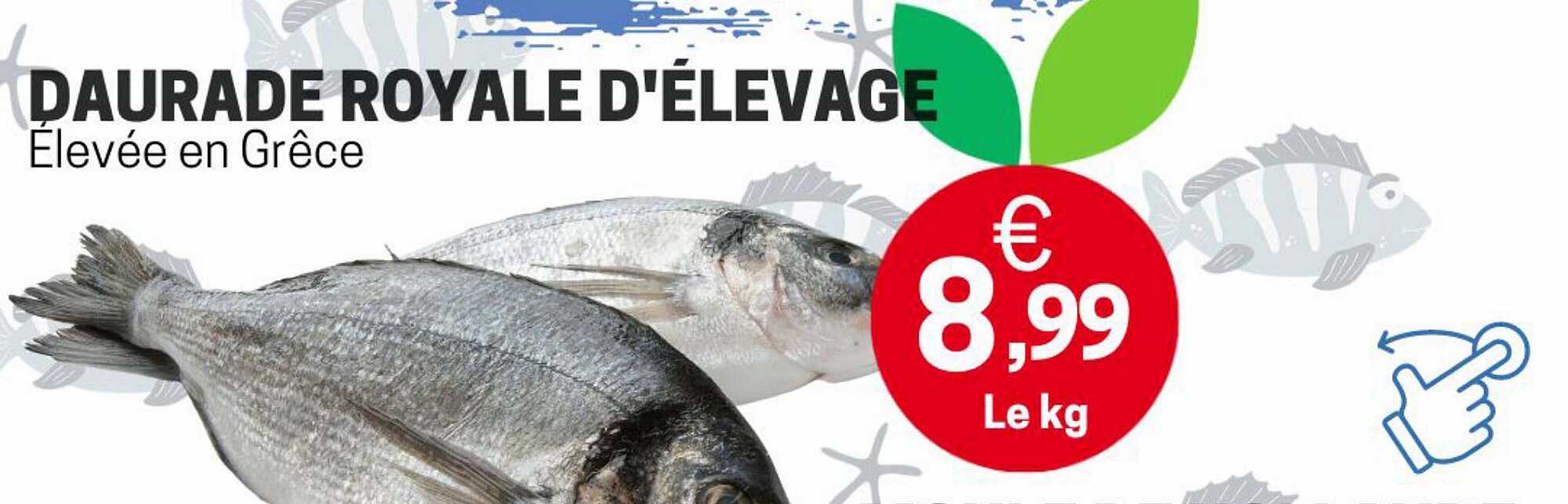 daurade royale d'élevage élevée en grêce