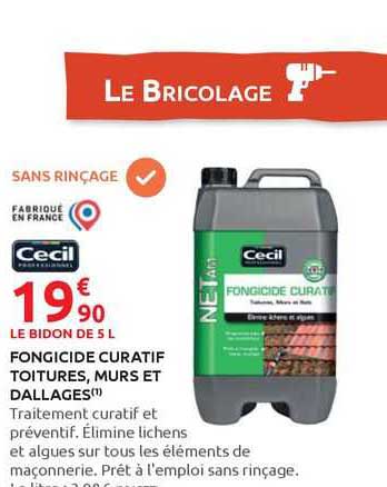 fongicide curatif toitures, murs et dallages cecil