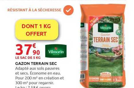 Gazon Terrain Sec Vilmorin