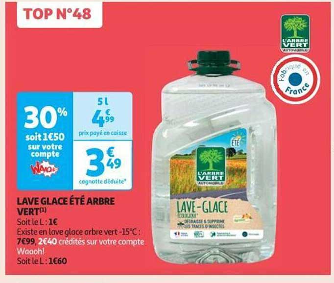 lave glace été arbre vert