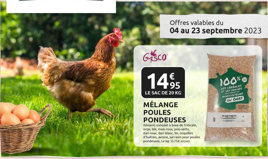 mélange poules pondeuses gasco