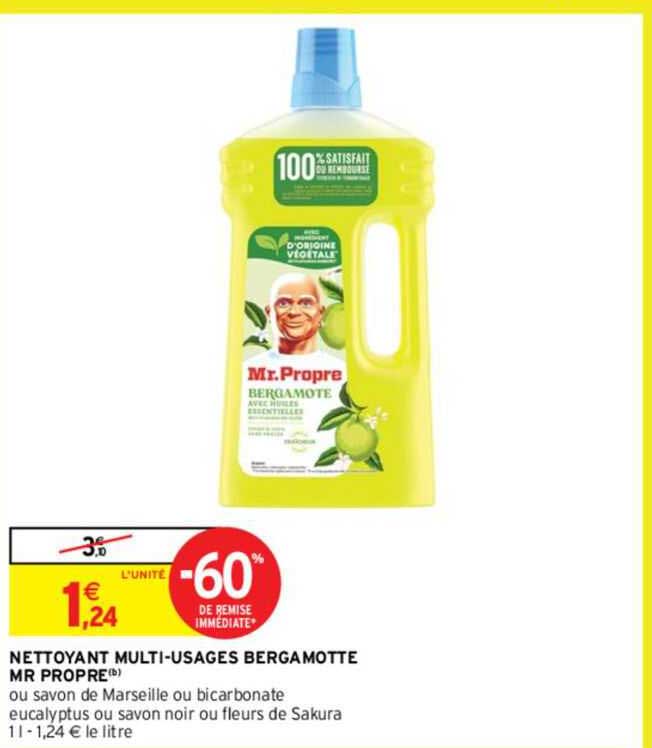 Nettoyant Multi-usages Bergamotte Mr Propre