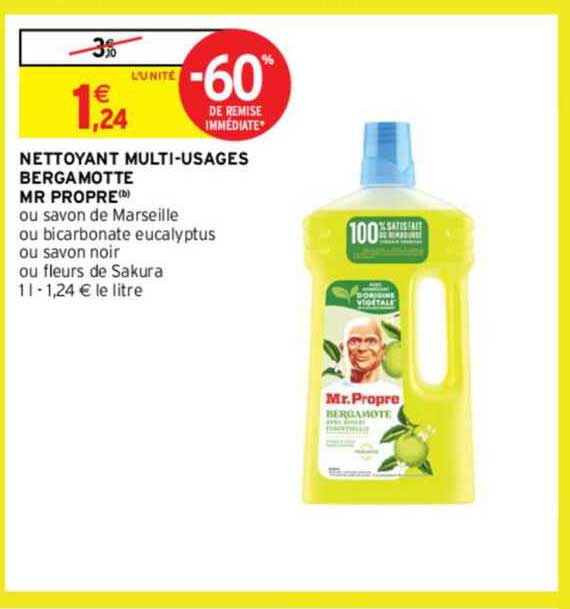 nettoyant multi-usages bermamotte mr propre