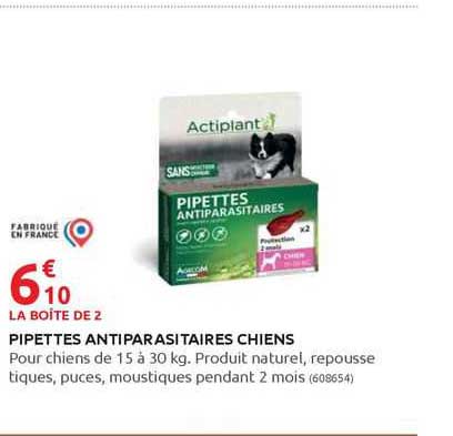 pipettes antiparasitaires chiens