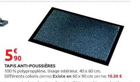 tapis anti-poussières