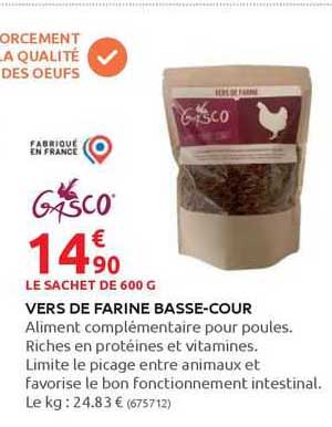 vers de farine basse-cour
