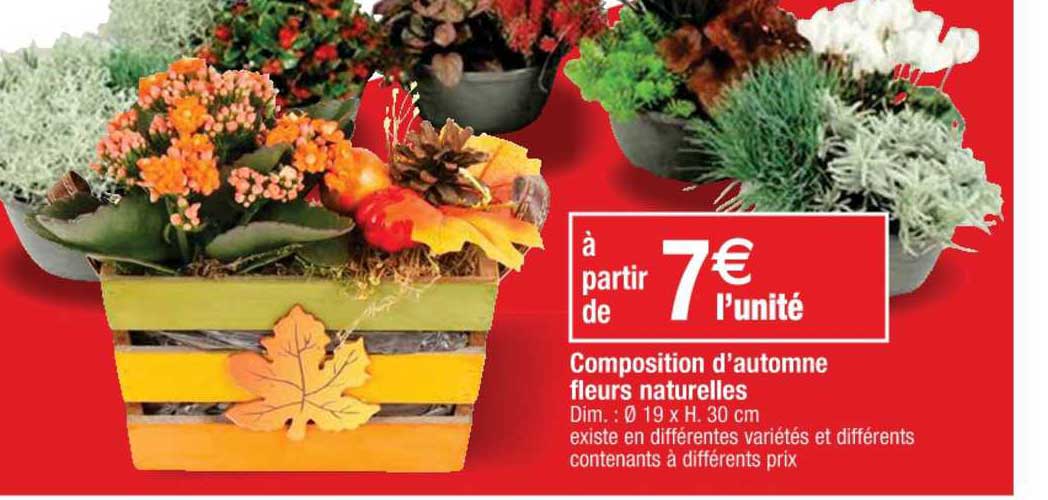 Composition D'autonome Fleurs Naturelles