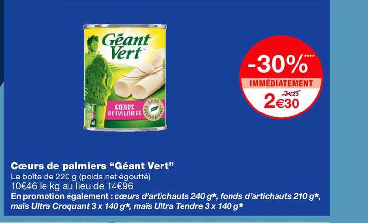 cours de palmiers géant vert