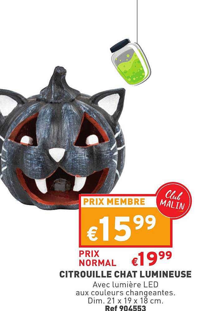 Citrouille Chat Lumineuse