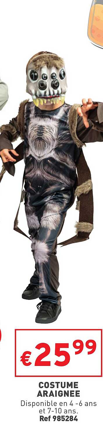 costume araignée