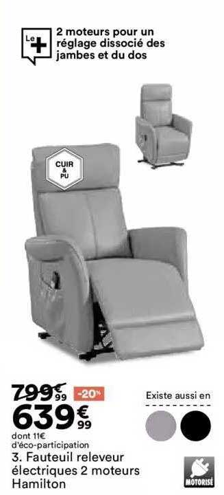 fauteuil releveur électriques 2 moteurse hamilton