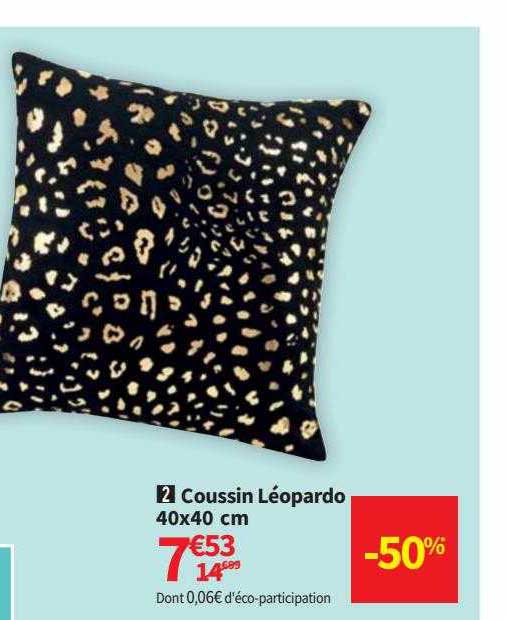 coussin léonardo 40x40 cm