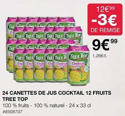24 canettes de jus cocktail 12 fruits tree top