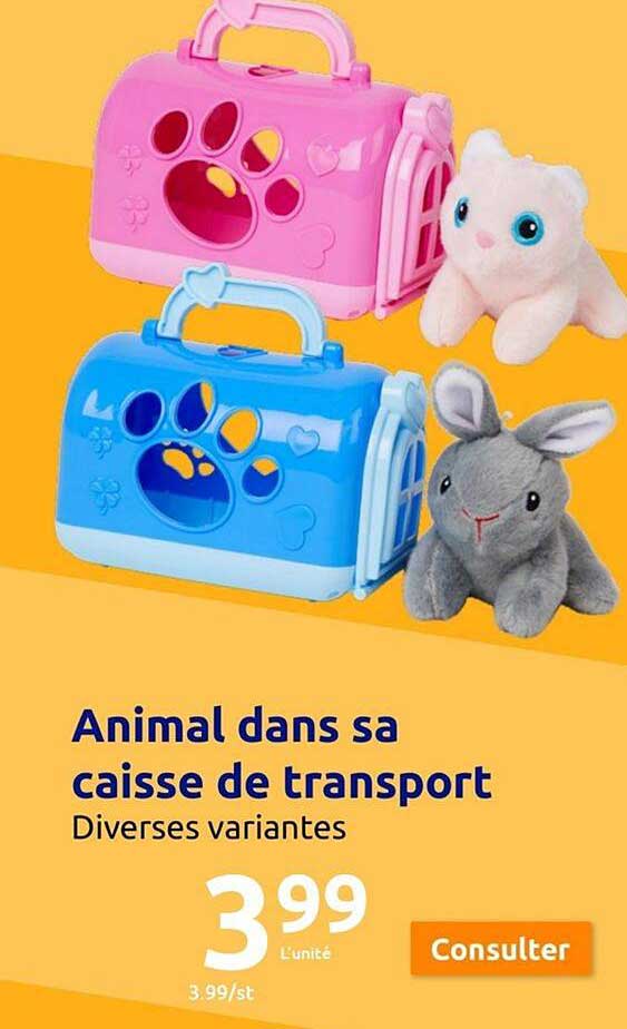 animal dans sa caisse de transport