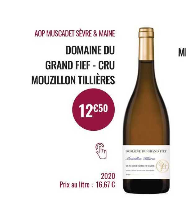 aop muscadet sèvre & maine domaine du grand fief - cru mouzillon tillières