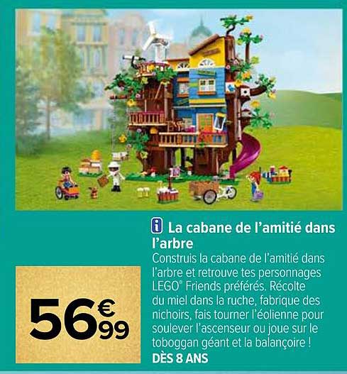 la cabane de l'amitié dans l'arbre