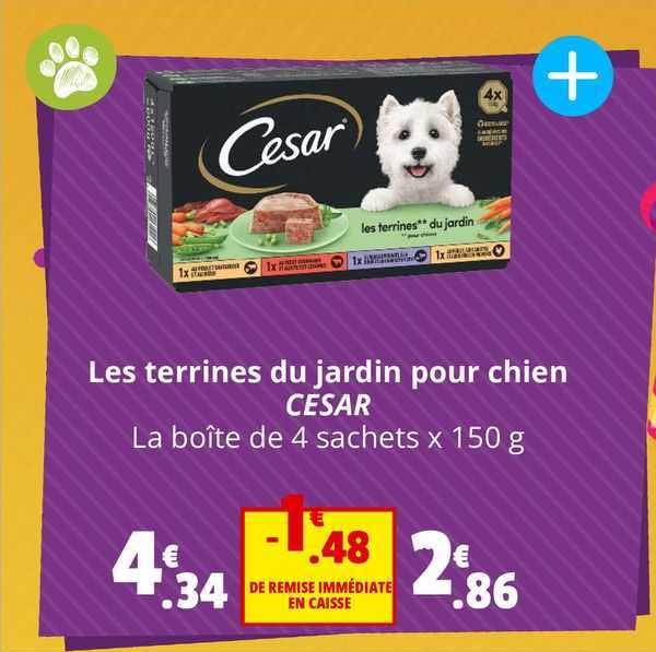 Les Terrines Du Jardin Pour Chien Cesar