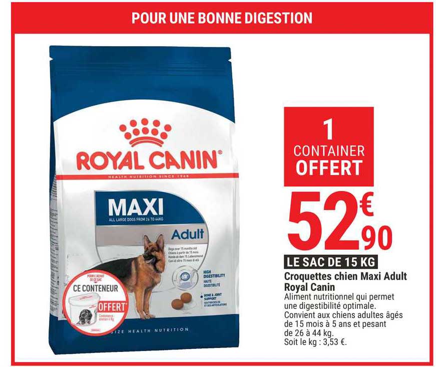 croquettes chien maxi adulte royal canin