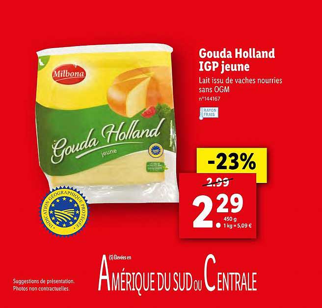 Gouda Holland Igp Jeune