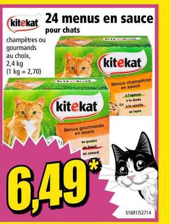kitekat 24 menus en sauce pour chats