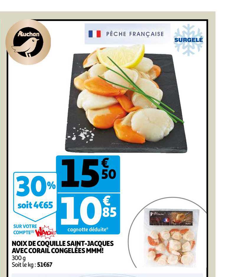 noix de coquille saint jacques avec corail congelées mmm!