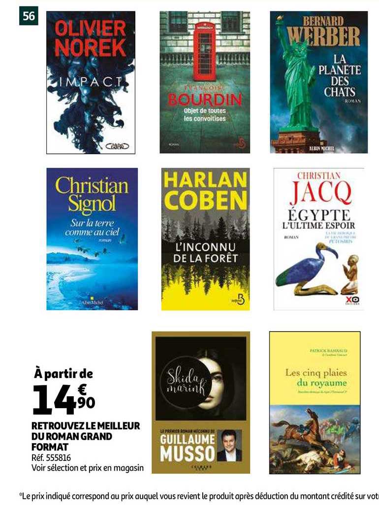 Retrouverez Le Meilleur Du Roman Grand Format
