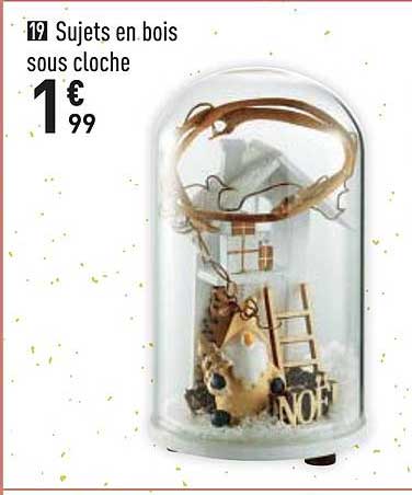 sujets en bois sous cloche