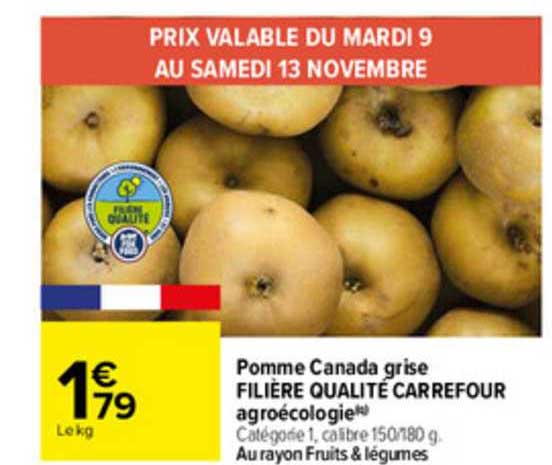 pomme canada grise filière qualité carrefour agroécologie