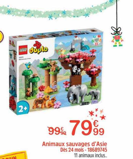 animaux sauvages d'asie lego duplo