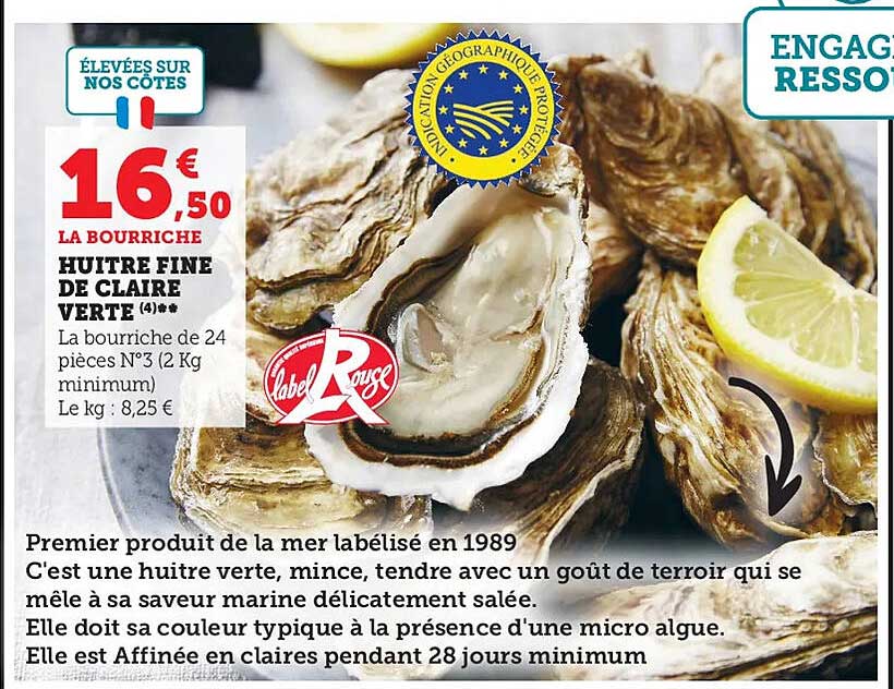 Huître Fine De Claire Verte