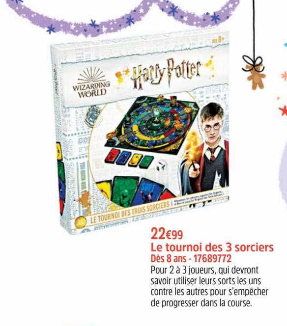 le tournoi des 3 sorciers harry potter