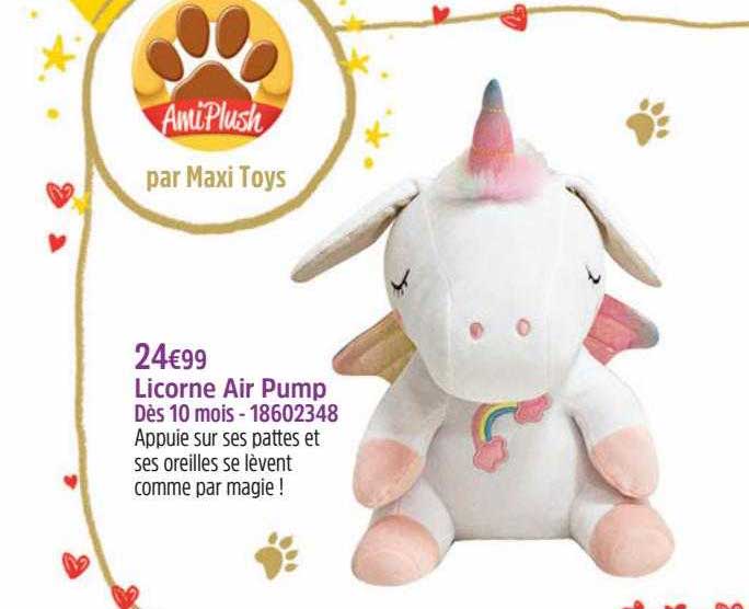 licorne air pump