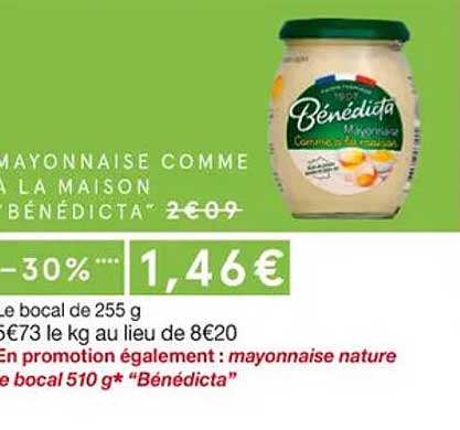 mayonnaise comme à la maison "bénédicta"
