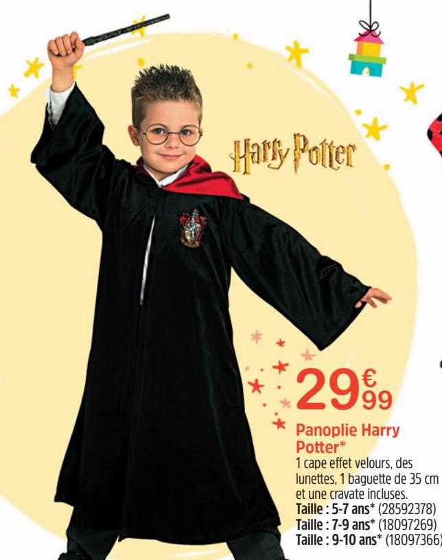 panoplie harry potter