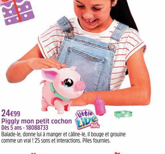 piggly mon petit cochon