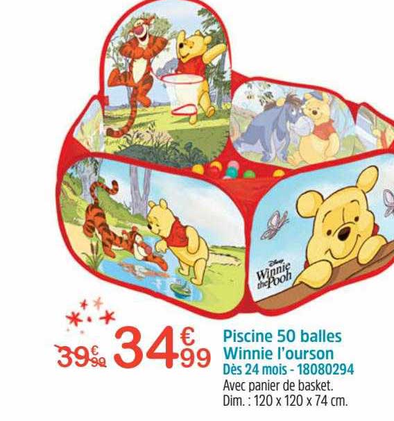 Piscine 50 Balles Winnie L'ourson