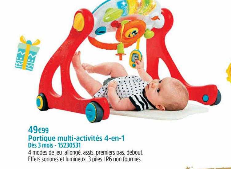 portique multi-activités 4-en-1